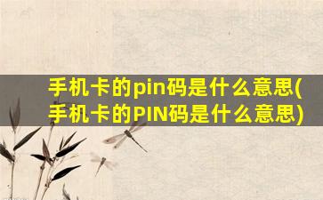 手机卡的pin码是什么意思(手机卡的PIN码是什么意思)