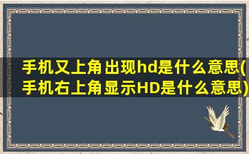 手机又上角出现hd是什么意思(手机右上角显示HD是什么意思)