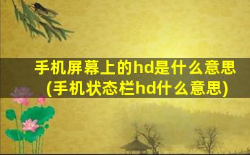 手机屏幕上的hd是什么意思(手机状态栏hd什么意思)