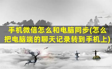 手机微信怎么和电脑同步(怎么把电脑端的聊天记录转到手机上)