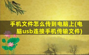 手机文件怎么传到电脑上(电脑usb连接手机传输文件)