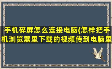 手机碎屏怎么连接电脑(怎样把手机浏览器里下载的视频传到电脑里)