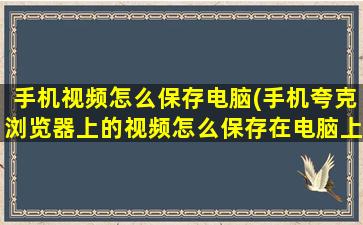 手机视频怎么保存电脑(手机夸克浏览器上的视频怎么保存在电脑上)