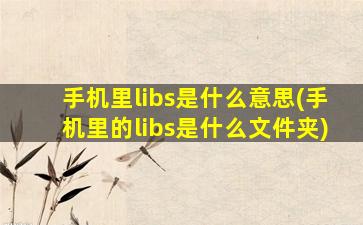 手机里libs是什么意思(手机里的libs是什么文件夹)