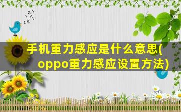 手机重力感应是什么意思(oppo重力感应设置方法)