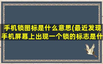 手机锁图标是什么意思(最近发现手机屏幕上出现一个锁的标志是什么意思)