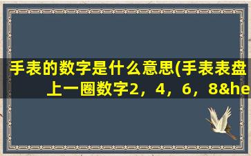 手表的数字是什么意思(手表表盘上一圈数字2，4，6，8……20，22，24是什么)