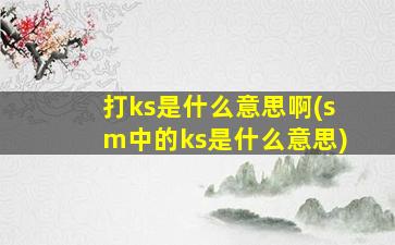 打ks是什么意思啊(sm中的ks是什么意思)