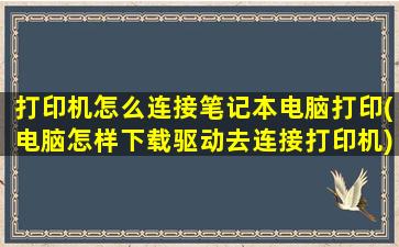 打印机怎么连接笔记本电脑打印(电脑怎样下载驱动去连接打印机)