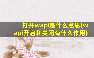 打开wapi是什么意思(wapi开启和关闭有什么作用)