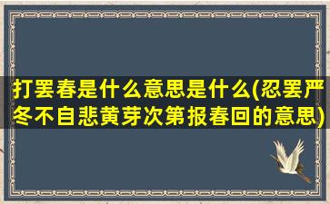 打罢春是什么意思是什么(忍罢严冬不自悲黄芽次第报春回的意思)