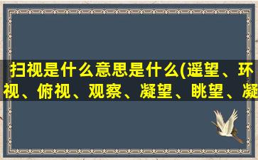 扫视是什么意思是什么(遥望、环视、俯视、观察、凝望、眺望、凝视、仰望、窥视、扫视。这些词语各是什么意思)