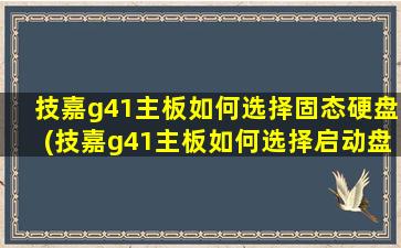 技嘉g41主板如何选择固态硬盘(技嘉g41主板如何选择启动盘)