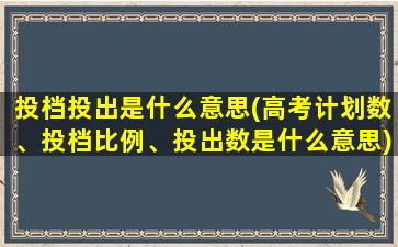 投档投出是什么意思(高考计划数、投档比例、投出数是什么意思)