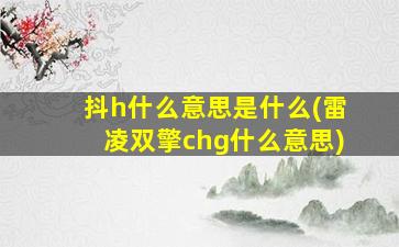 抖h什么意思是什么(雷凌双擎chg什么意思)