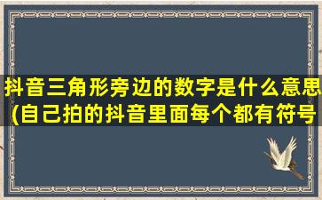 抖音三角形旁边的数字是什么意思(自己拍的抖音里面每个都有符号和数字是什么意思)