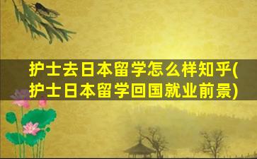 护士去日本留学怎么样知乎(护士日本留学回国就业前景)