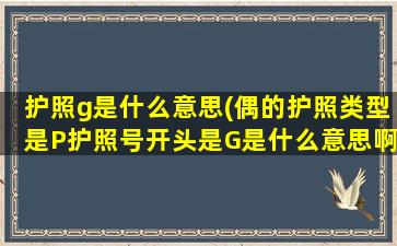 护照g是什么意思(偶的护照类型是P护照号开头是G是什么意思啊)