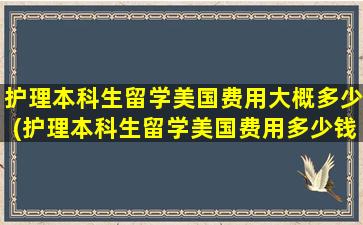 护理本科生留学美国费用大概多少(护理本科生留学美国费用多少钱)