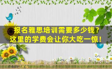 报名雅思培训需要多少钱？这里的学费会让你大吃一惊！