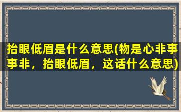 抬眼低眉是什么意思(物是心非事事非，抬眼低眉，这话什么意思)