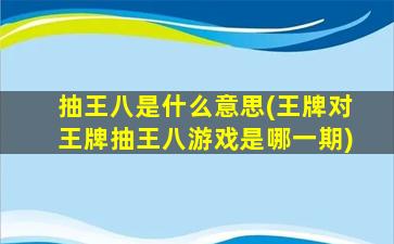 抽王八是什么意思(王牌对王牌抽王八游戏是哪一期)