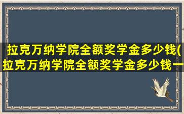 拉克万纳学院全额奖学金多少钱(拉克万纳学院全额奖学金多少钱一个月)