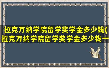 拉克万纳学院留学奖学金多少钱(拉克万纳学院留学奖学金多少钱一个月)