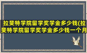 拉斐特学院留学奖学金多少钱(拉斐特学院留学奖学金多少钱一个月)