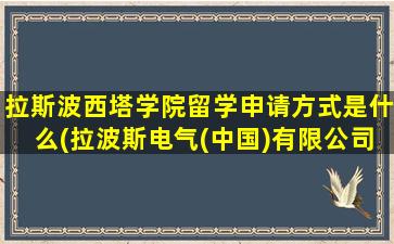 拉斯波西塔学院留学申请方式是什么(拉波斯电气(中国)有限公司)