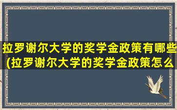 拉罗谢尔大学的奖学金政策有哪些(拉罗谢尔大学的奖学金政策怎么样)