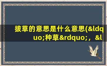 拔草的意思是什么意思(“种草”，“拔草”和“长草”分别是什么意思)