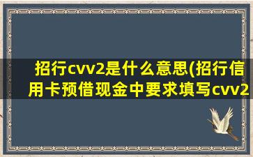 招行cvv2是什么意思(招行信用卡预借现金中要求填写cvv2是什么意思)