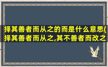 择其善者而从之的而是什么意思(择其善者而从之,其不善者而改之的而是什么意思)