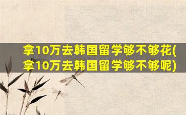 拿10万去韩国留学够不够花(拿10万去韩国留学够不够呢)