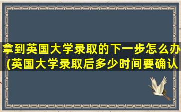 拿到英国大学录取的下一步怎么办(英国大学录取后多少时间要确认)