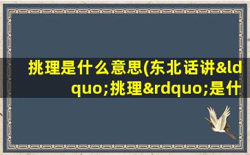 挑理是什么意思(东北话讲“挑理”是什么意思)