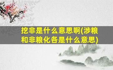 挖非是什么意思啊(涉粮和非粮化各是什么意思)