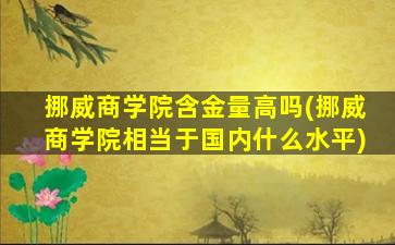 挪威商学院含金量高吗(挪威商学院相当于国内什么水平)