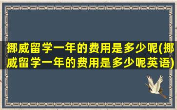 挪威留学一年的费用是多少呢(挪威留学一年的费用是多少呢英语)