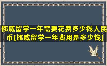 挪威留学一年需要花费多少钱人民币(挪威留学一年费用是多少钱)