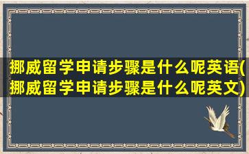 挪威留学申请步骤是什么呢英语(挪威留学申请步骤是什么呢英文)