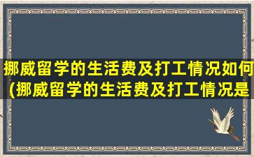 挪威留学的生活费及打工情况如何(挪威留学的生活费及打工情况是多少)