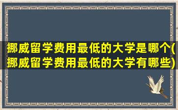 挪威留学费用最低的大学是哪个(挪威留学费用最低的大学有哪些)