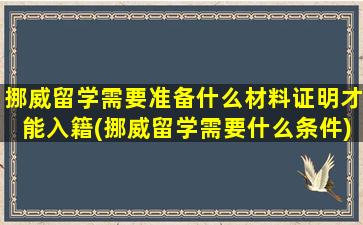 挪威留学需要准备什么材料证明才能入籍(挪威留学需要什么条件)