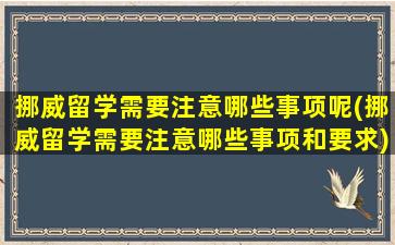 挪威留学需要注意哪些事项呢(挪威留学需要注意哪些事项和要求)