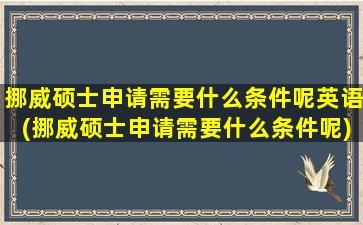 挪威硕士申请需要什么条件呢英语(挪威硕士申请需要什么条件呢)