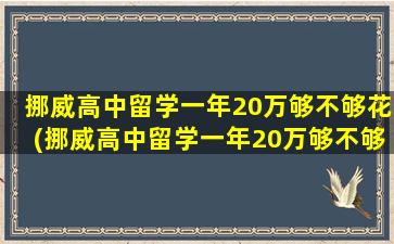 挪威高中留学一年20万够不够花(挪威高中留学一年20万够不够读)