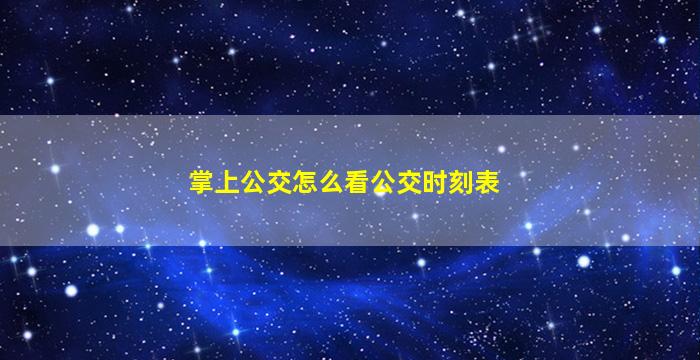 掌上公交怎么看公交时刻表