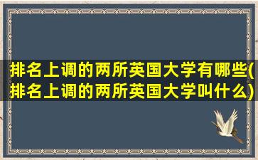 排名上调的两所英国大学有哪些(排名上调的两所英国大学叫什么)